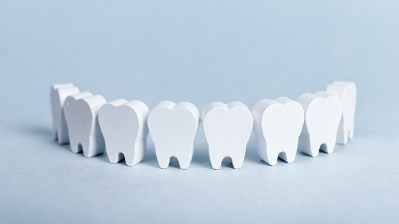 Los dientes - curiosidades - BFEstéticaDental
